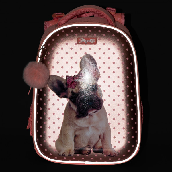 Школьный рюкзак 1 сентября, каркасный, два отделения, два боковых кармана, коралловый Dolly Dog Школьный рюкзак 1 сентября, каркасный, два отделения, два боковых кармана, коралловый Dolly Dog