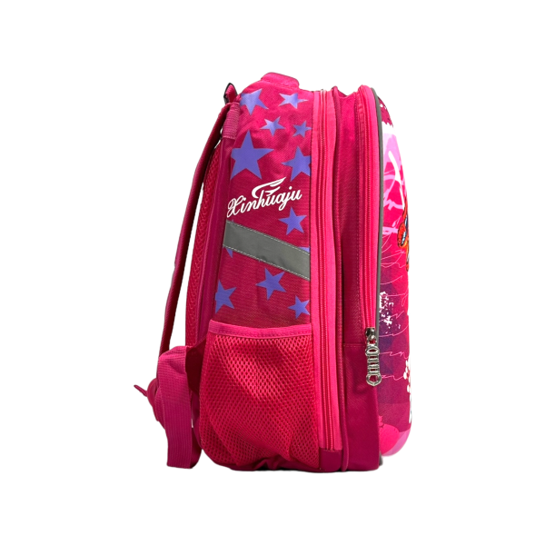 Шкільний рюкзак для дівчаток на два відділення, рожевий Шкільний рюкзак для дівчаток на два відділення, рожевий