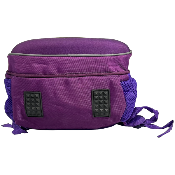 Школьный рюкзак на два отделения, авокадо, фиолетовый Школьный рюкзак на два отделения, авокадо, фиолетовый