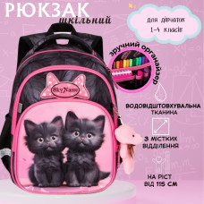 Школьный рюкзак Sky Name (Winner) для девочки 1-4 класс, водоотталкивающая ткань, принт Котики