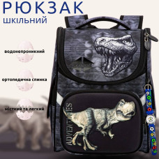Шкільний рюкзак Sky Name (Winner) для хлопчиків 1-4 клас, водовідштовхувальна тканина, 14 л, принт Динозавр