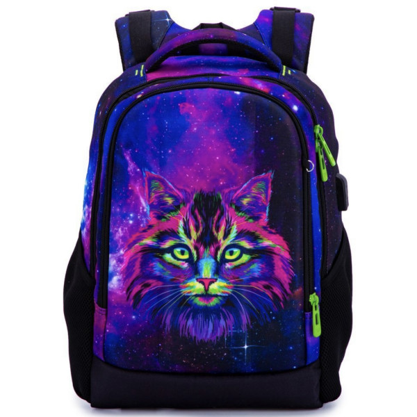 Школьный рюкзак для подростков с USB-слотом, 2 отделения, пенал в комплекте, 17 л, принт Кошка Школьный рюкзак для подростков с USB-слотом, 2 отделения, пенал в комплекте, 17 л, принт Кошка