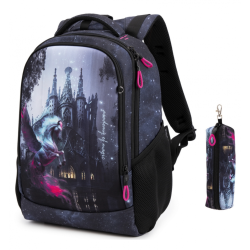 Стильный школьный рюкзак SkyName\Winner для девочек Стильный школьный рюкзак SkyName\Winner для девочек