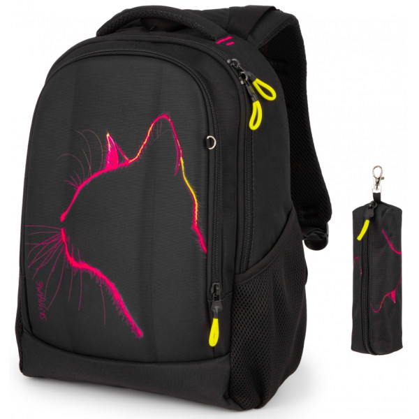 Школьный рюкзак для подростков, 2 отделения, пенал в комплекте Школьный рюкзак для подростков, 2 отделения, пенал в комплекте