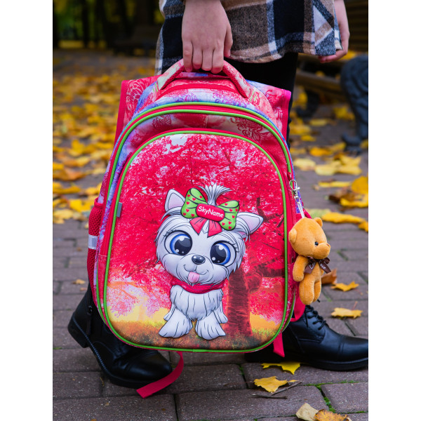 Ранец школьный для девочки, ортопедическая спинка, Sky Name (Winner), розовый Ранец школьный для девочки, ортопедическая спинка, Sky Name (Winner), розовый