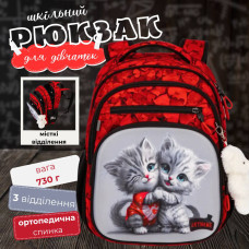 Школьный рюкзак Winner 